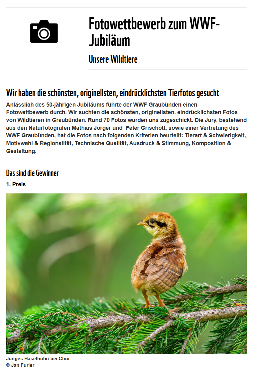 WWF Fotowettbewerb